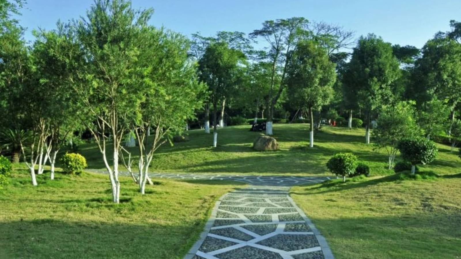 悟空体育新闻资讯栏目配图，体育资讯阅读场景