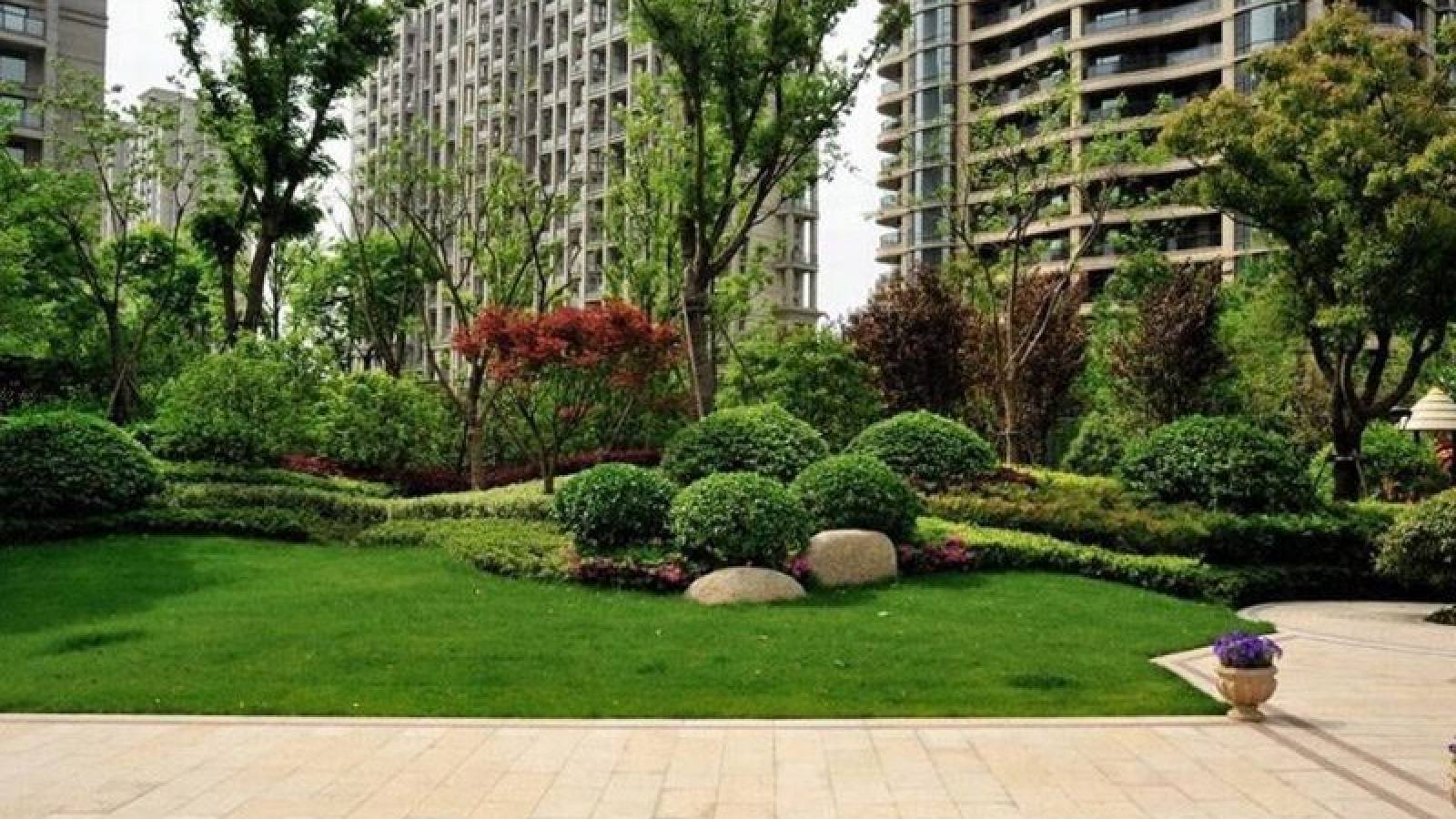 悟空体育社区互动栏目配图，球迷交流场景